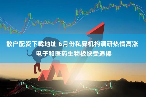 散户配资下载地址 6月份私募机构调研热情高涨  电子和医药生物板块受追捧